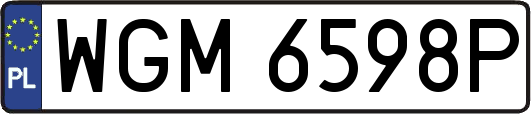 WGM6598P