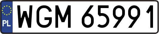 WGM65991