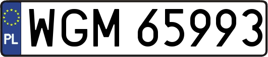 WGM65993