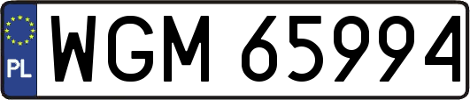 WGM65994