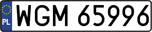 WGM65996