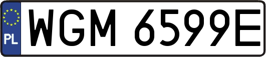 WGM6599E