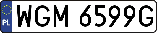 WGM6599G