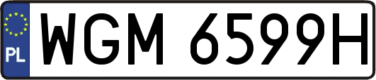 WGM6599H