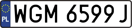 WGM6599J