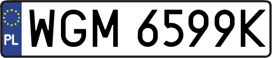 WGM6599K