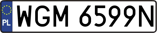 WGM6599N
