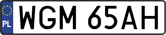 WGM65AH