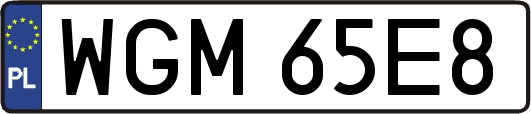 WGM65E8