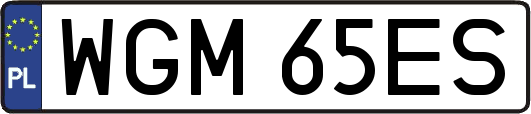 WGM65ES