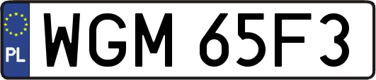 WGM65F3