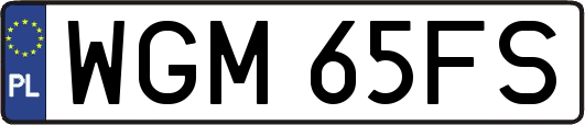 WGM65FS