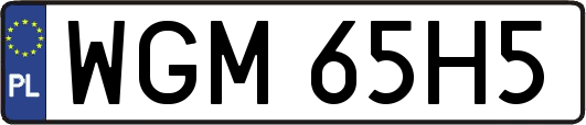 WGM65H5