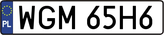 WGM65H6