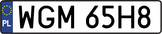WGM65H8