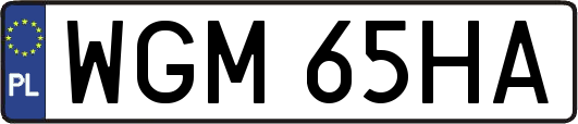 WGM65HA