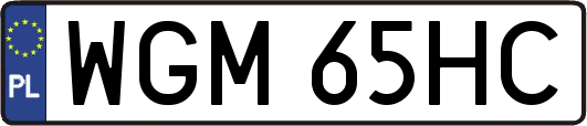WGM65HC