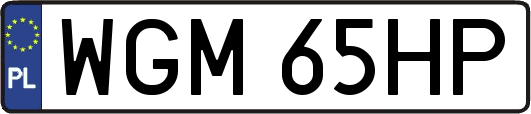 WGM65HP