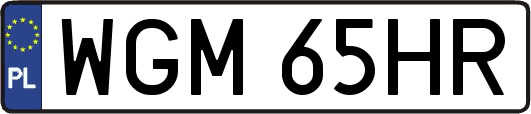 WGM65HR