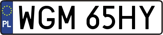 WGM65HY