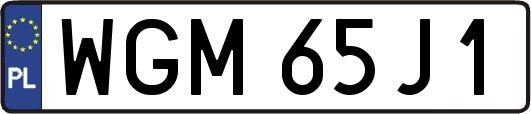 WGM65J1