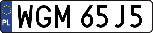 WGM65J5
