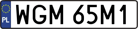 WGM65M1