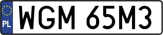 WGM65M3