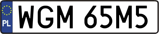 WGM65M5