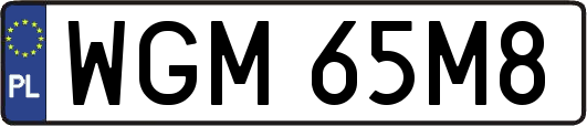 WGM65M8