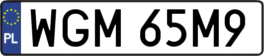 WGM65M9