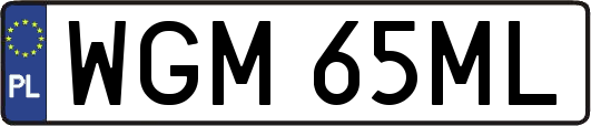 WGM65ML