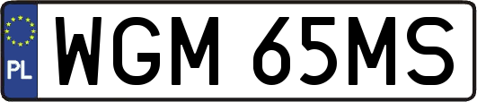 WGM65MS