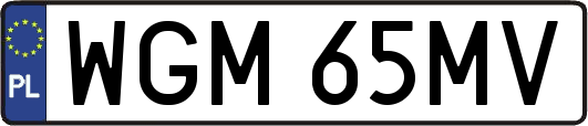 WGM65MV