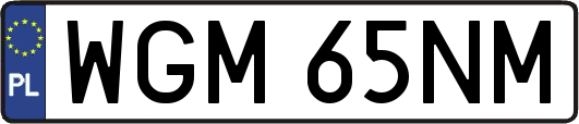 WGM65NM
