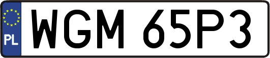 WGM65P3