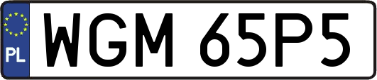 WGM65P5