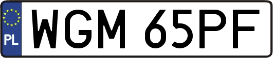 WGM65PF