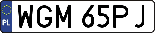 WGM65PJ