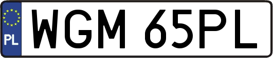 WGM65PL