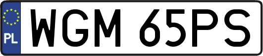 WGM65PS