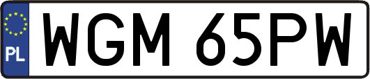 WGM65PW