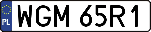 WGM65R1