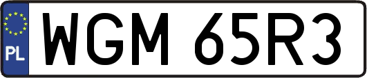 WGM65R3