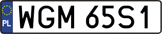 WGM65S1