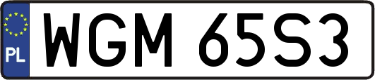 WGM65S3