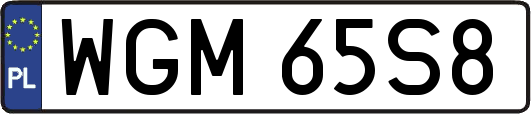 WGM65S8