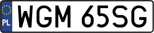 WGM65SG
