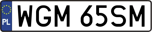 WGM65SM