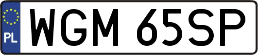 WGM65SP